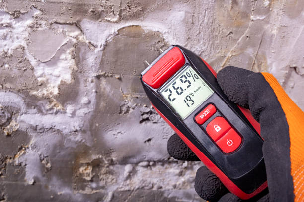 Best Residential Mold Removal  in Richland, PA