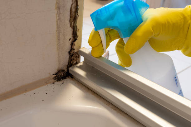 Best Crawl Space Mold Removal  in Richland, PA