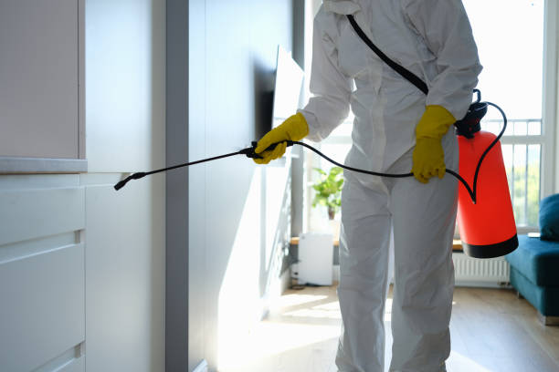 Best Crawl Space Mold Removal  in Richland, PA