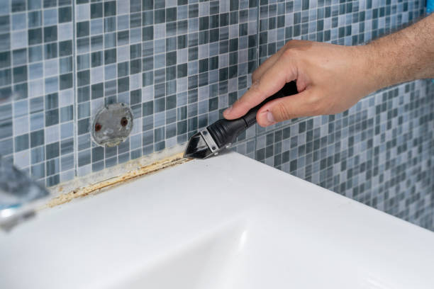Best Best Mold Removal Companies  in Richland, PA