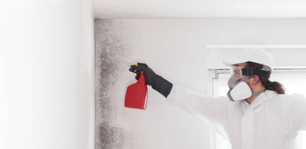 Best Mold Testing  in Richland, PA